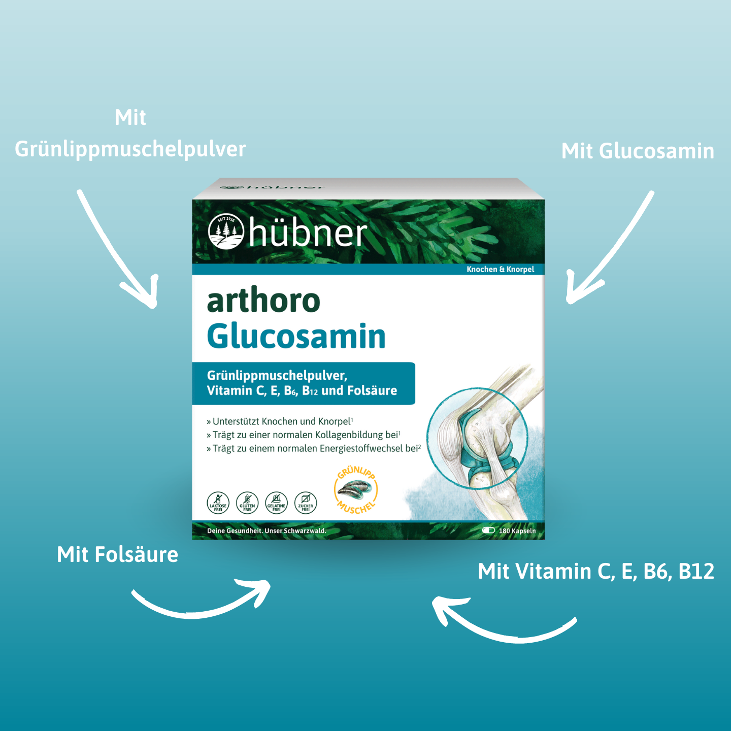 Schachtel mit Arthoro Glucosamin-Nahrungsergänzungsmittel, mit Text, der die wichtigsten Inhaltsstoffe hervorhebt: Grünlippmuschelpulver, Glucosamin, Folsäure und Vitamine.