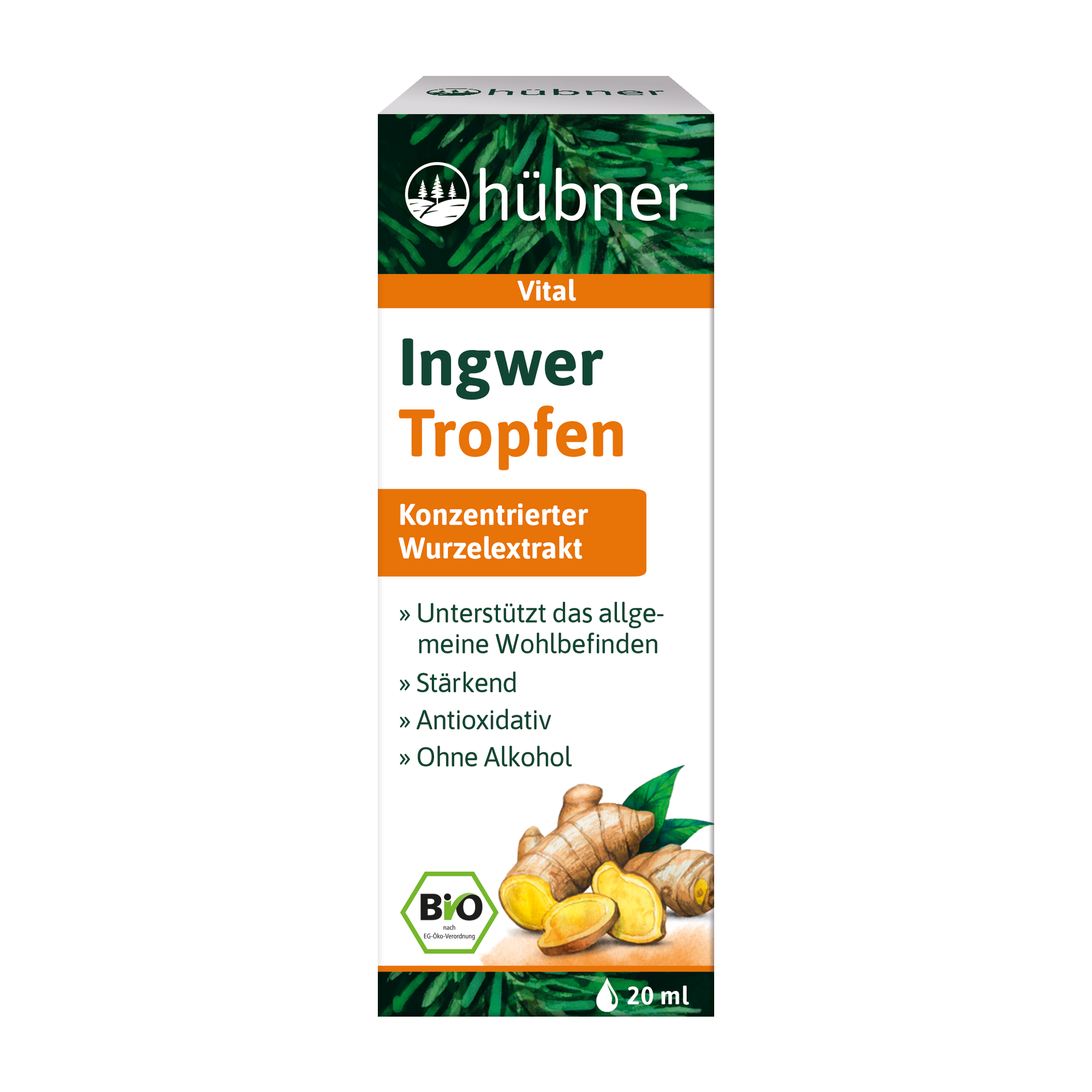 Schachtel mit hübner Ingwer Tropfen Ingwerwurzelextrakt, 20 ml, mit Ingwerbildern und Text, der die gesundheitlichen Vorteile hervorhebt, und BIO-Etikett.