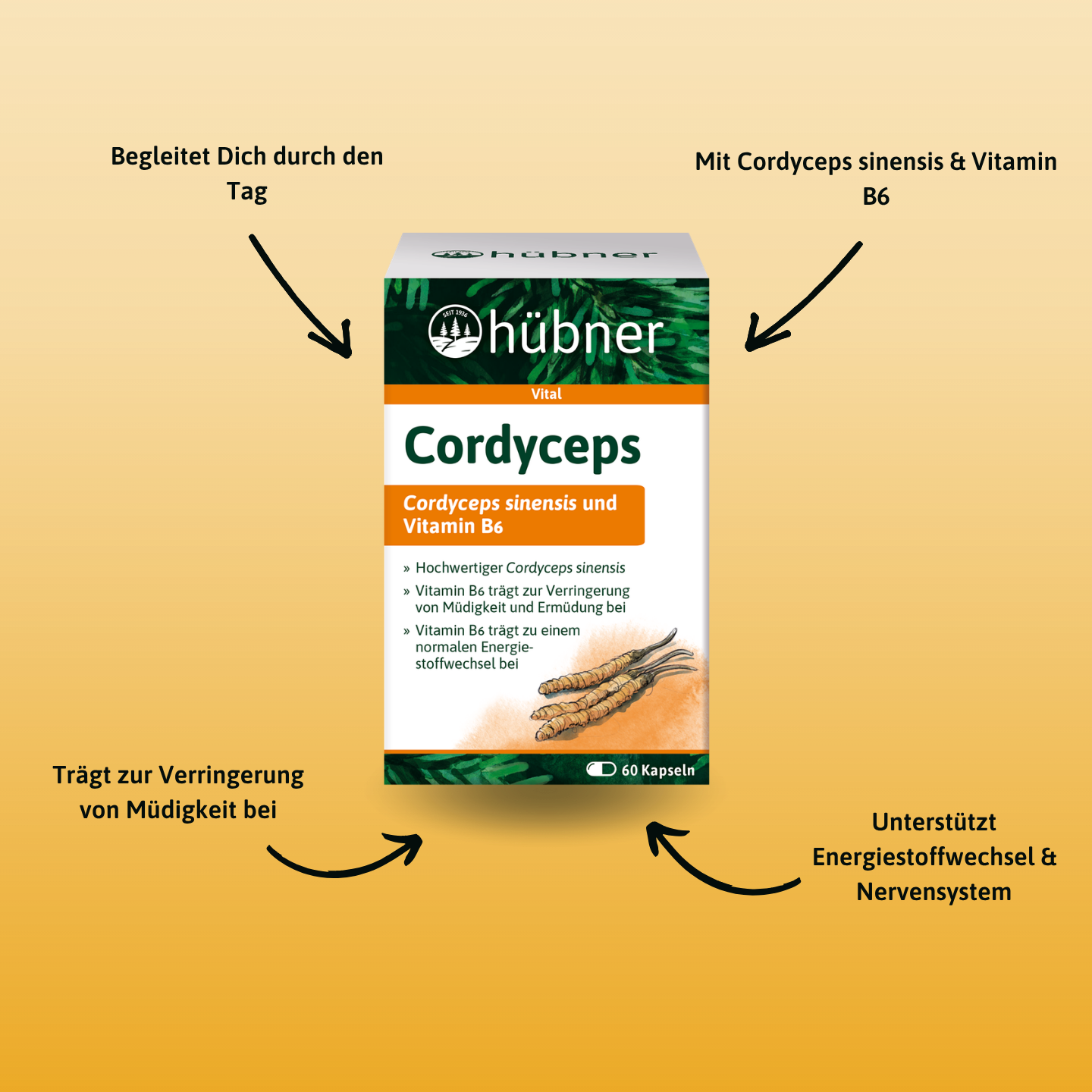 hübner® Cordyceps