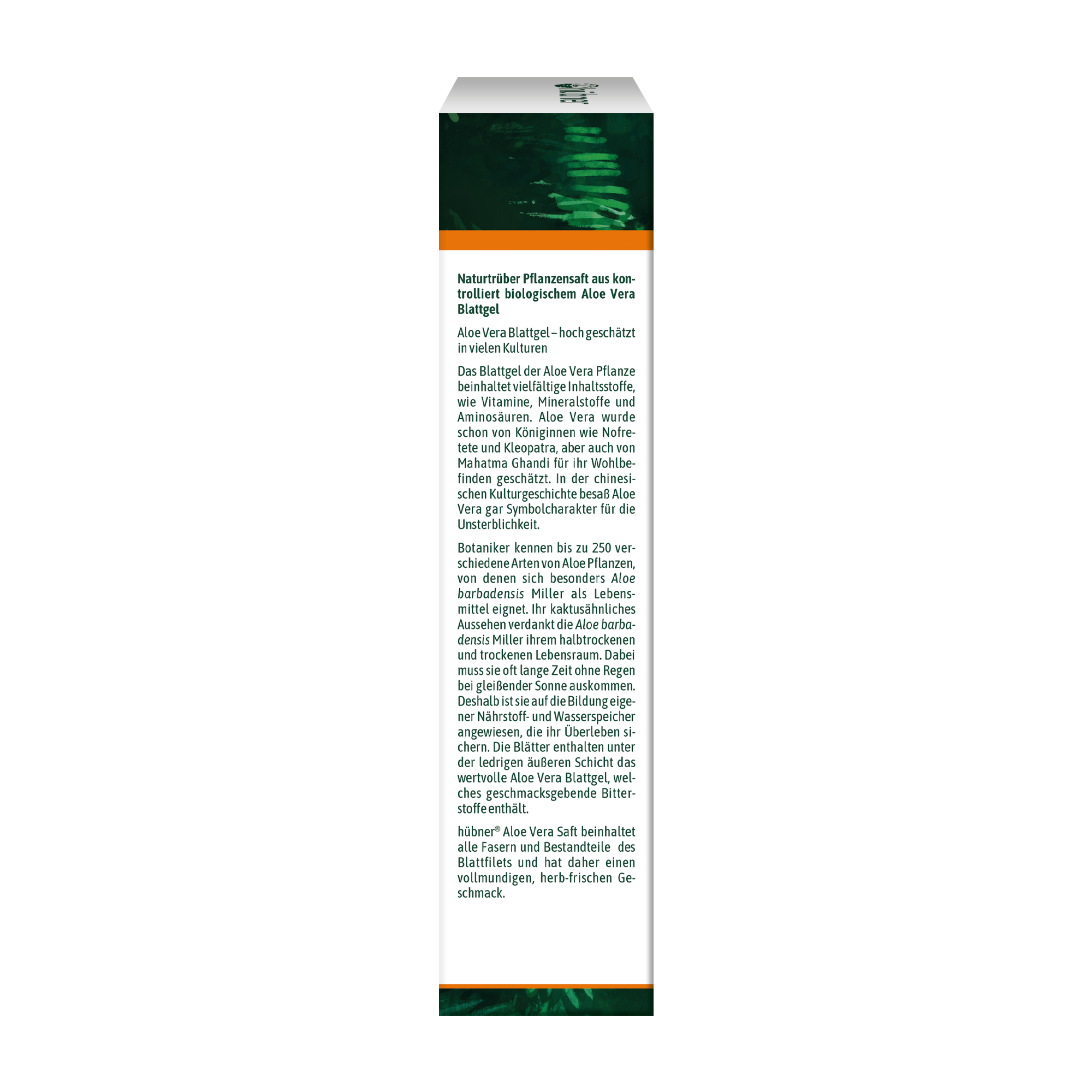 Hohes, schmales Etikett mit deutschem Text zum Thema Aloe Vera und grünem Naturhintergrund am oberen und unteren Rand.