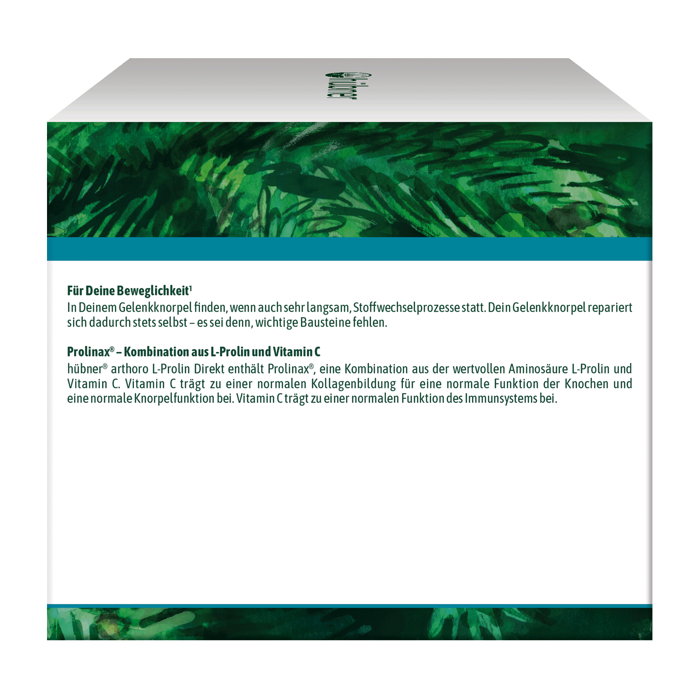 Eine Produktverpackung mit deutschem Text, der die Reparatur des Gelenkknorpels sowie die Inhaltsstoffe L-Prolin und Vitamin C beschreibt, mit einem grünen Blattmotiv oben drauf.