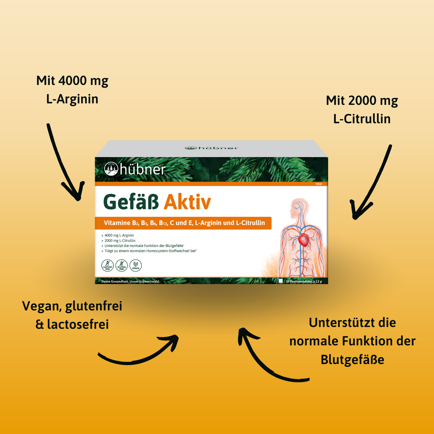 hübner Gefäß Aktiv 30er