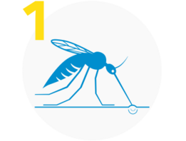 Anwendung 01 – Ansetzen
