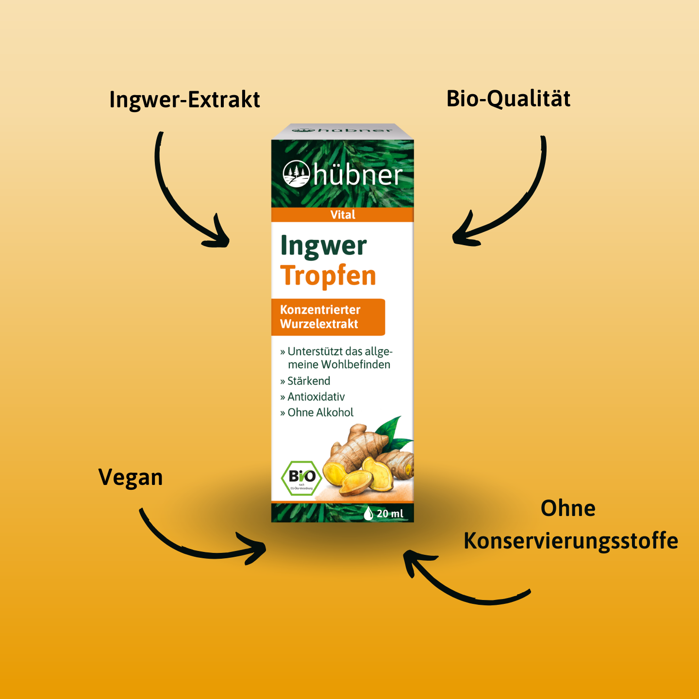 Schachtel mit Hübner Ingwer Tropfen mit Symbolen und Pfeilen, die Ingwerextrakt, Bio-Qualität, vegan und keine Konservierungsstoffe hervorheben.