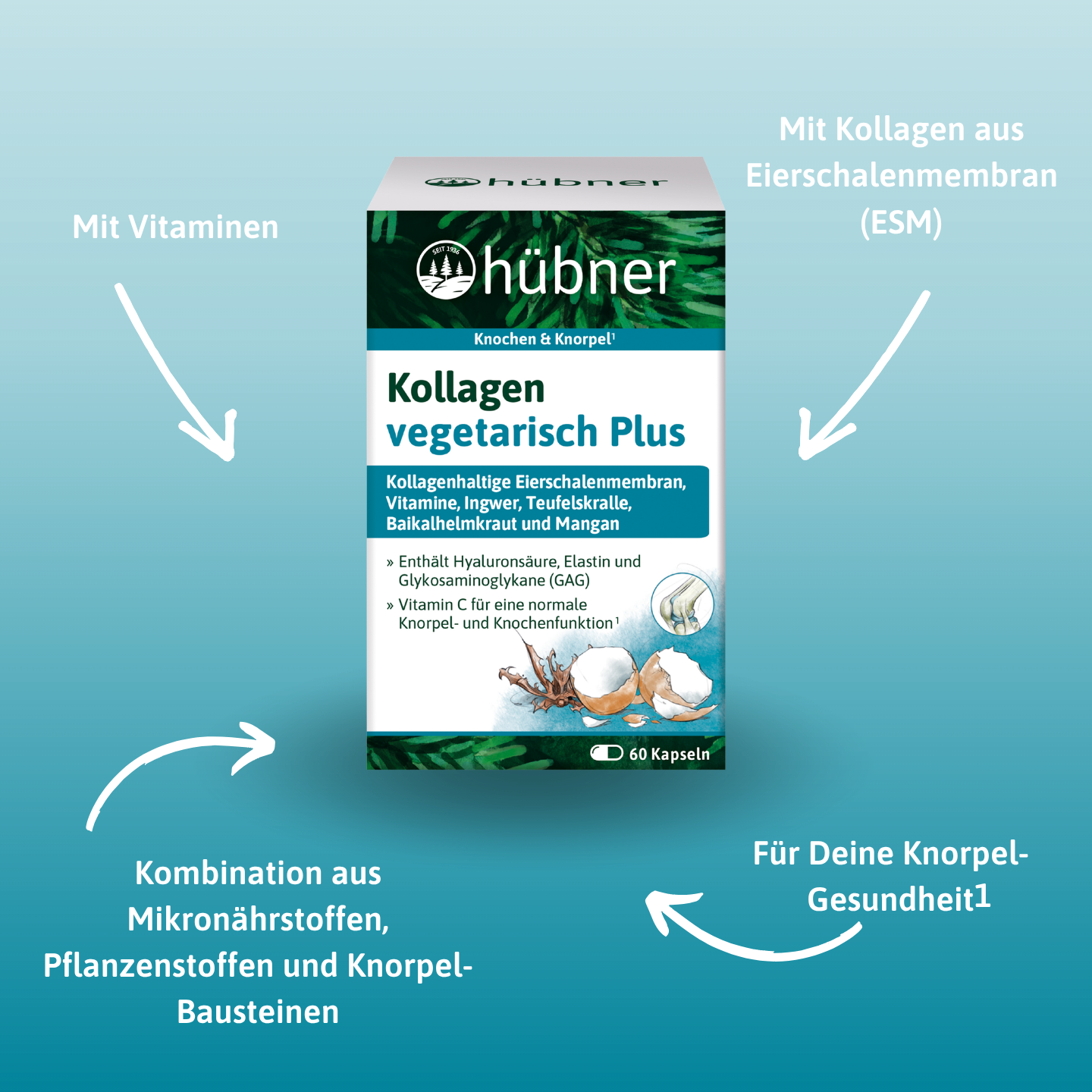 hübner® Kollagen vegetarisch Plus