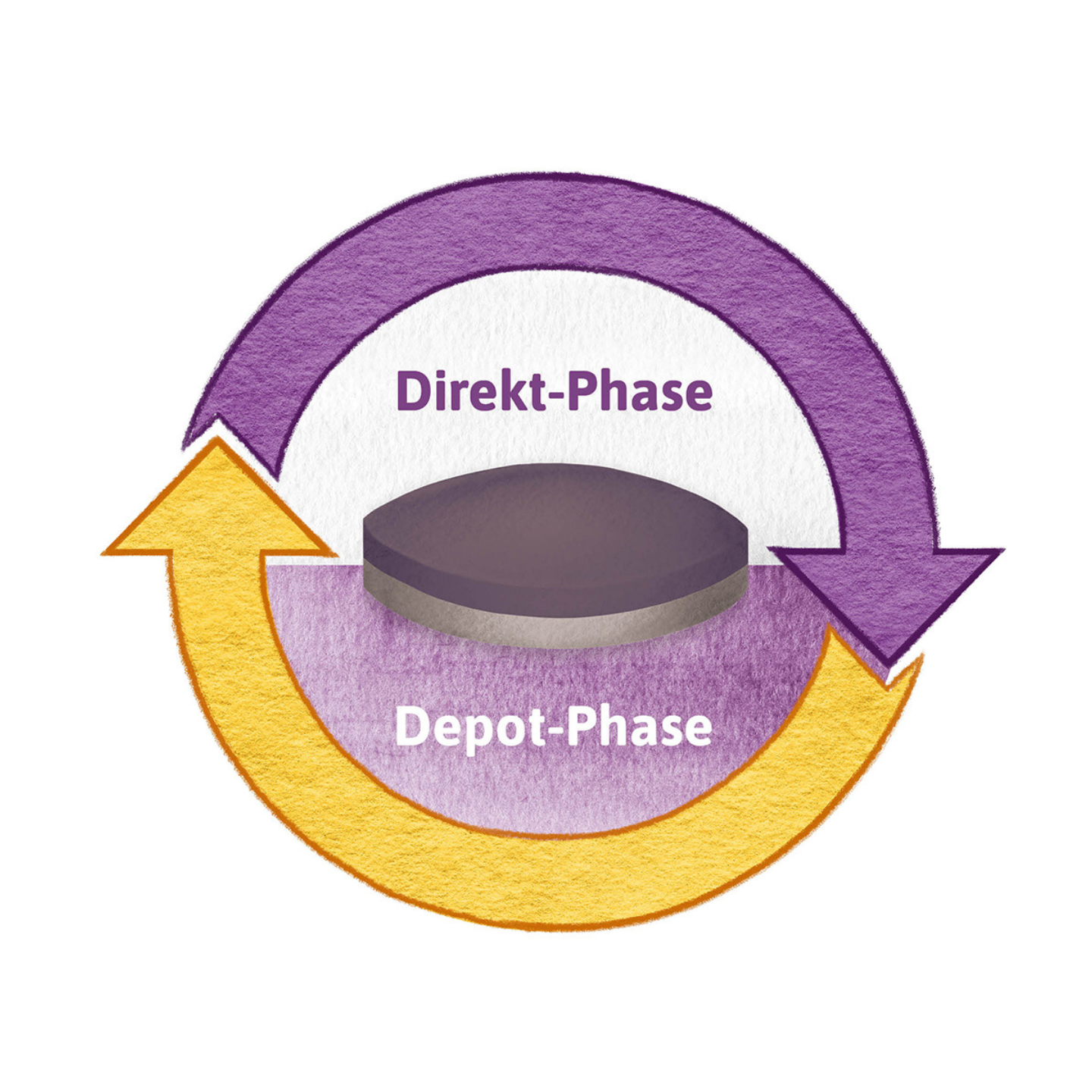 Ein Diagramm mit violetten und gelben Pfeilen mit der Bezeichnung „Direkt-Phase“ und „Depot-Phase“, die ein rundes Objekt in der Mitte umgeben.