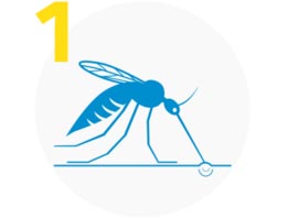 Icon zum Anwendungschritt 1, Mücke sticht zu.