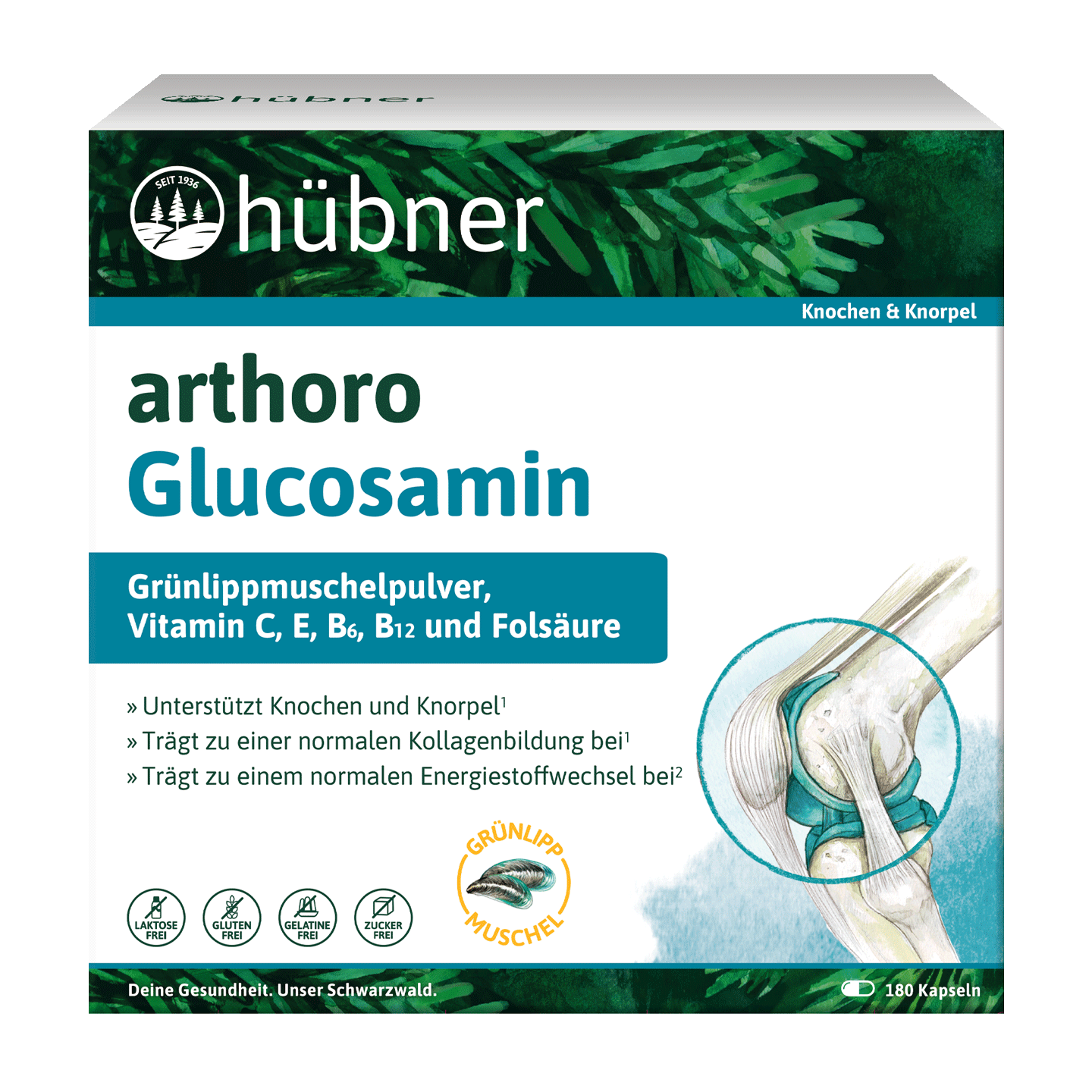 Eine Schachtel Hübner Arthoro Glucosamin-Ergänzungsmittel mit einer Liste der wichtigsten Inhaltsstoffe und Vorteile auf der Vorderseite.