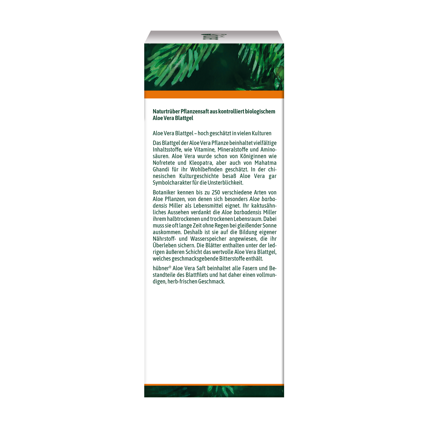 hübner® ALOE VERA BIO-Pflanzensaft naturtrüb