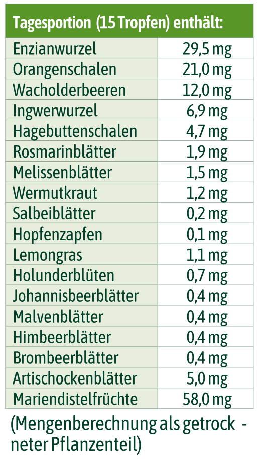 Tabelle mit den Mengenangaben verschiedener getrockneter Pflanzenbestandteile in 15 Tropfen, wie beispielsweise Enzianwurzel, Orangenschale und Ingwerwurzel.