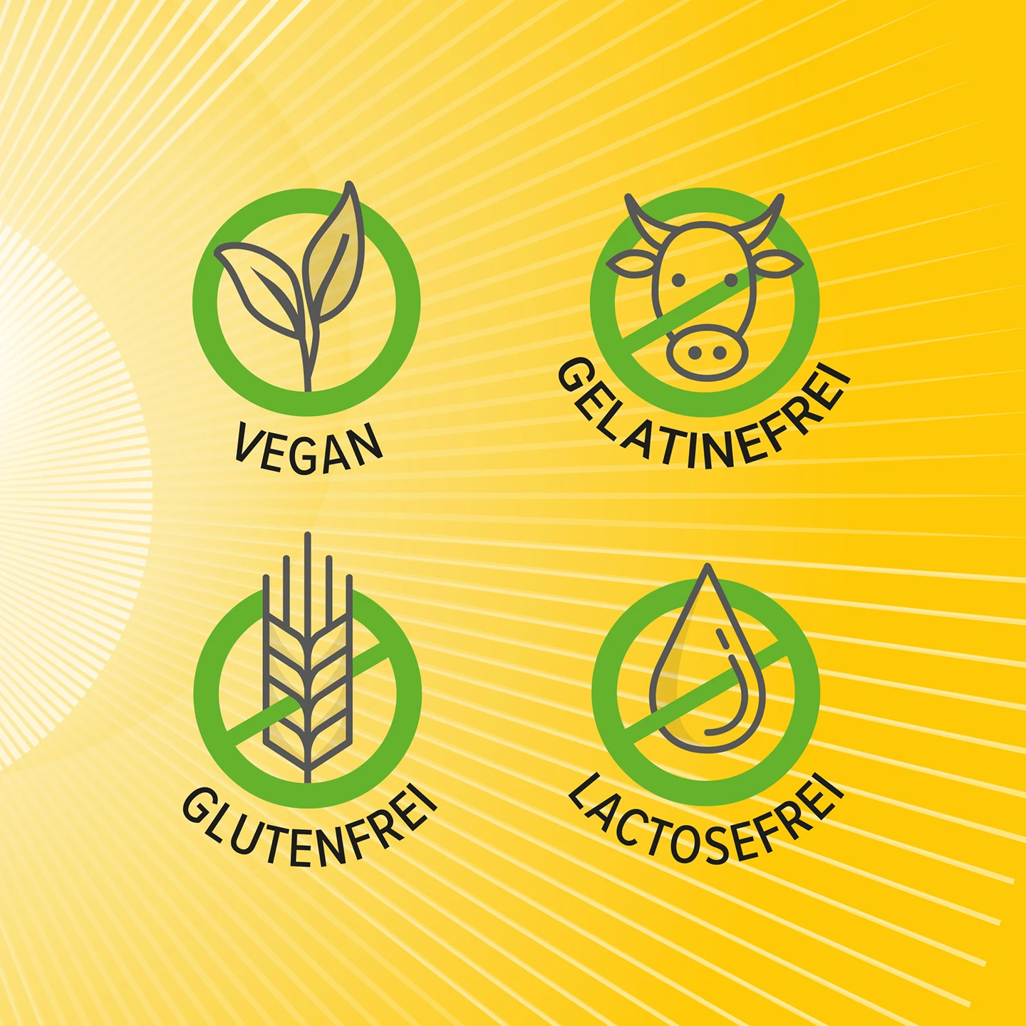 Vier grüne Symbole auf gelbem Hintergrund, die vegan, gelatinefrei, glutenfrei und laktosefrei kennzeichnen.
