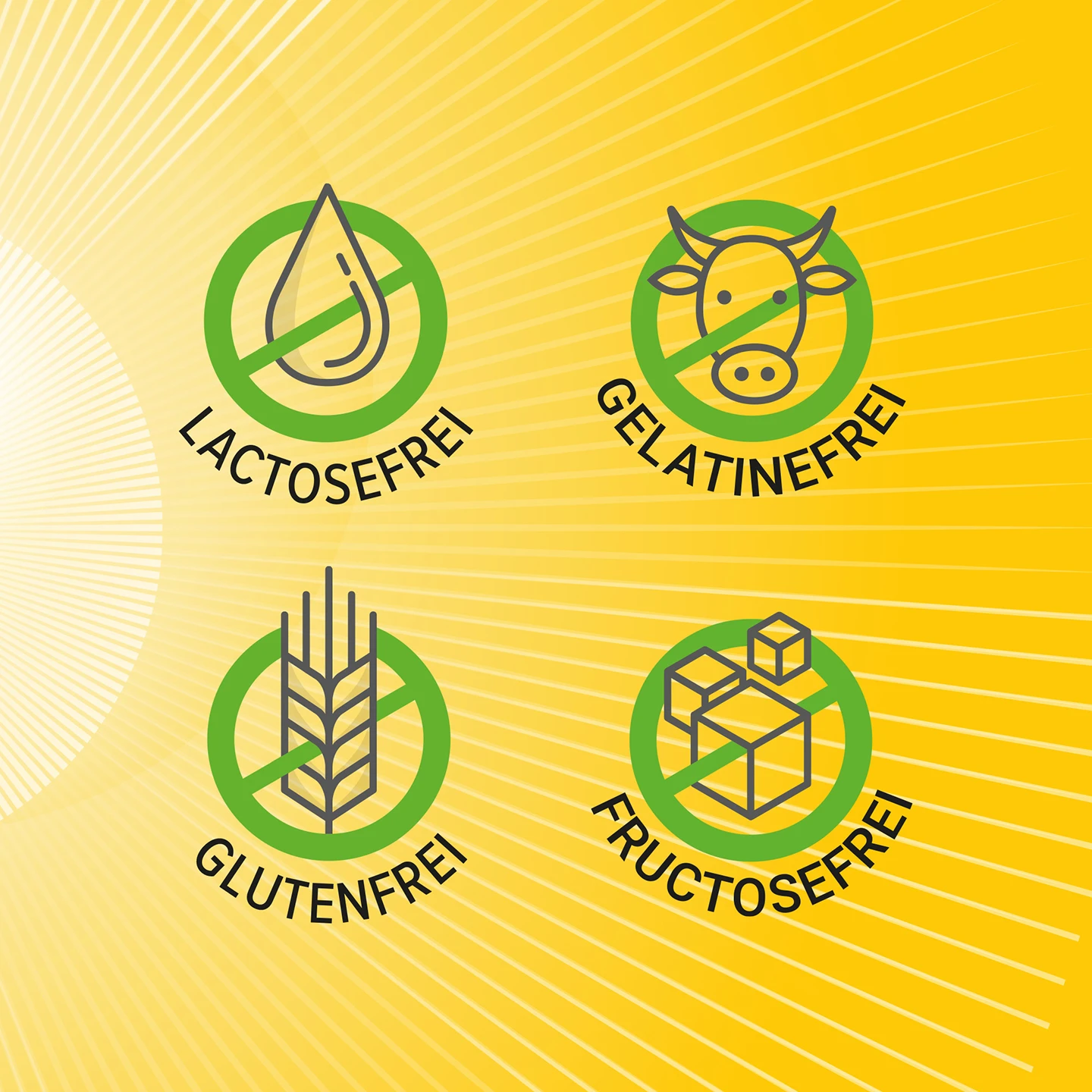 Vier grüne Symbole auf gelbem Hintergrund mit den Aufschriften: laktosefrei, gelatinefrei, glutenfrei und fructosefrei.