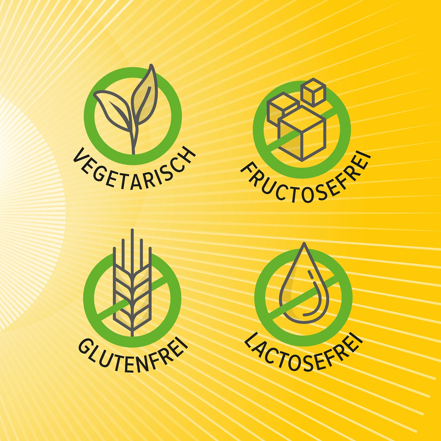 Vier grüne Symbole auf gelbem Hintergrund mit den Aufschriften: vegetarisch, fructosefrei, glutenfrei und lactosefrei.