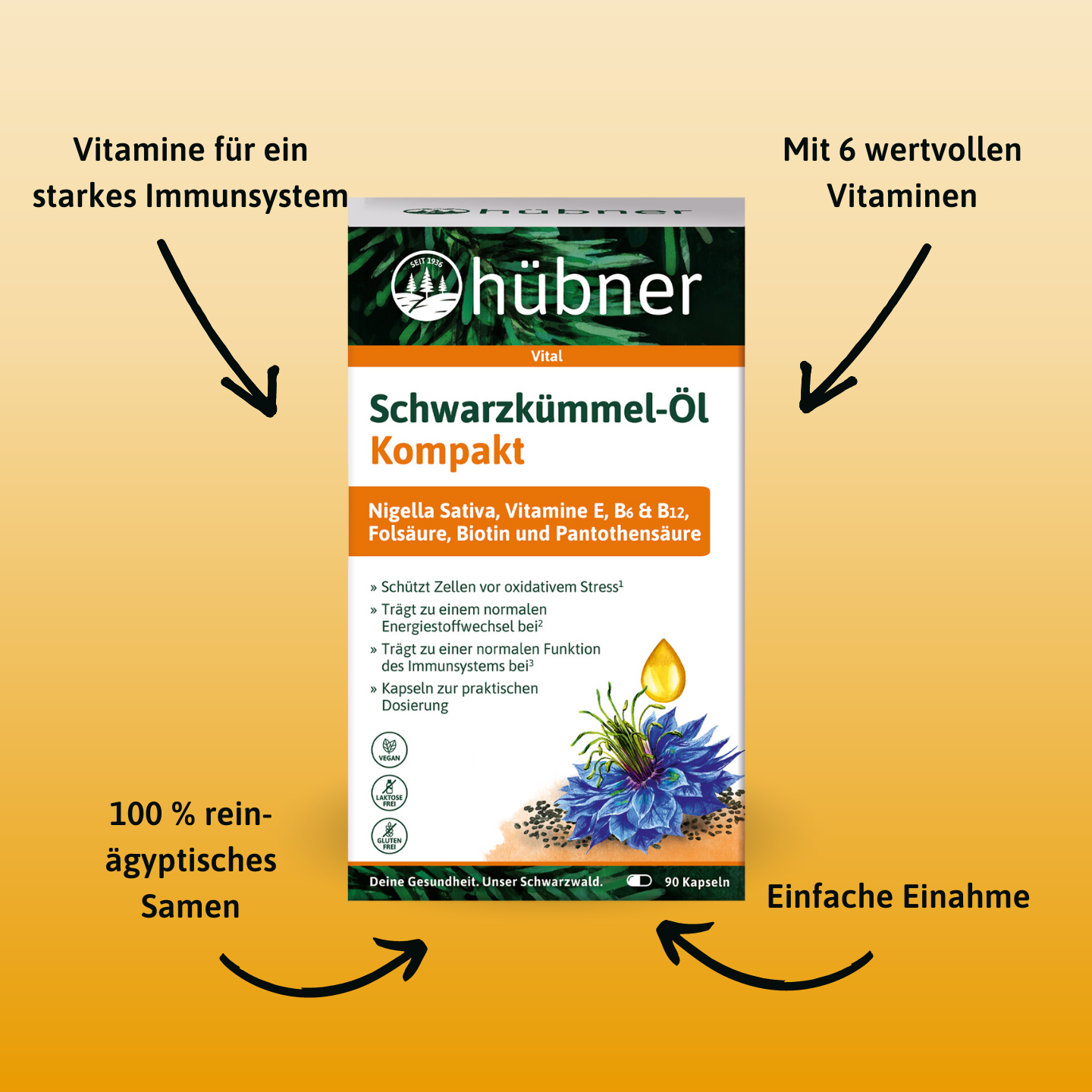 Schachtel mit Schwarzkümmel-Öl Kompakt-Kapseln mit Vorteilen und Funktionen, hervorgehoben auf orangefarbenem Hintergrund mit schwarzen Pfeilen.