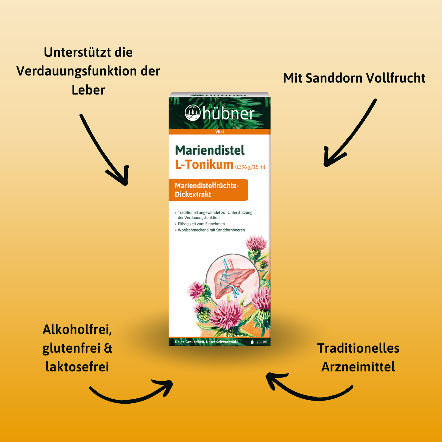 Schachtel Mariendistel L-Tonikum mit Text, der Vorteile wie Leberunterstützung, traditionelle Medizin und Alkohol- und Glutenfreiheit hervorhebt.