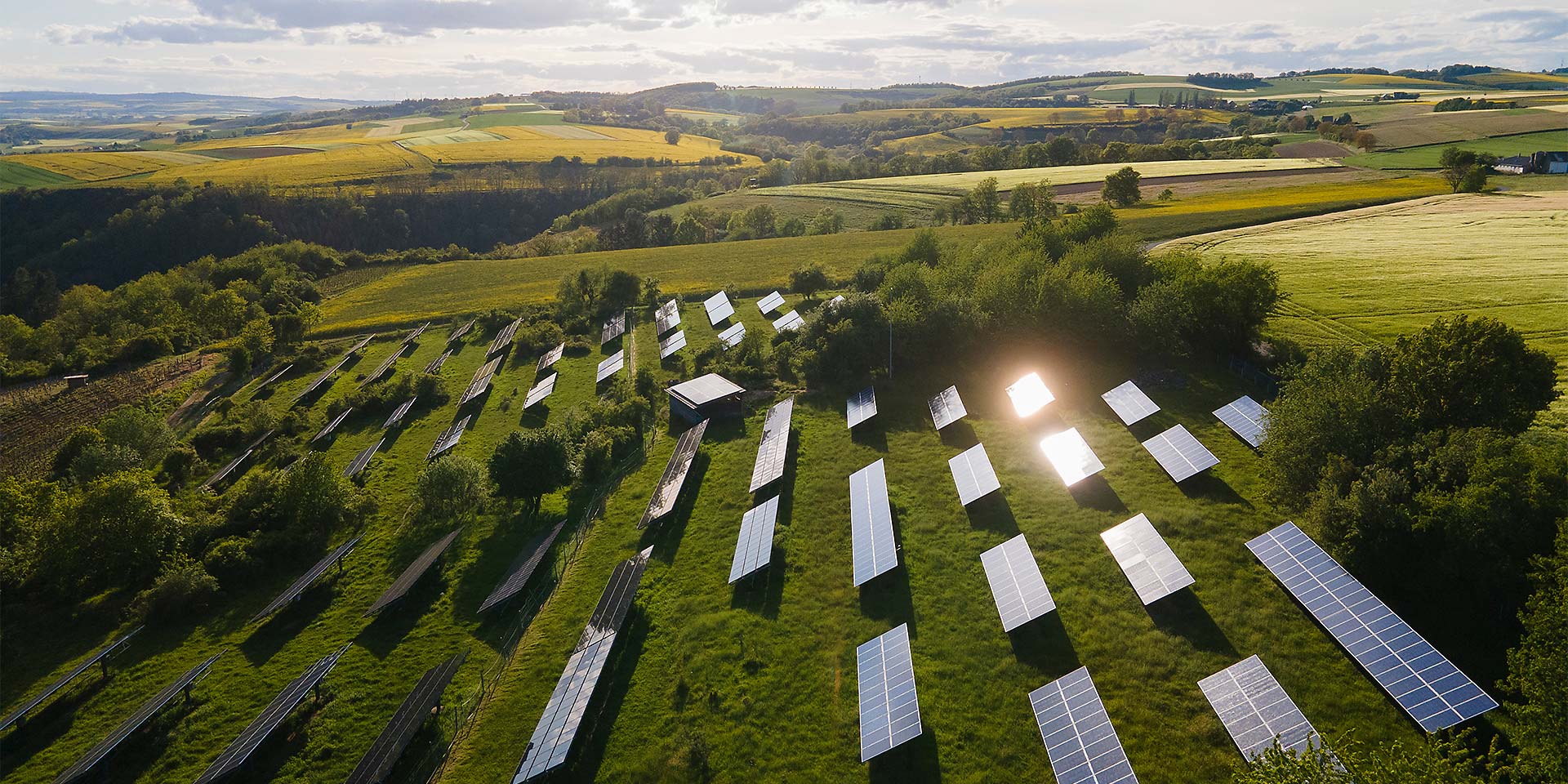 Ein Solarfeld steht auf einer Wiese.