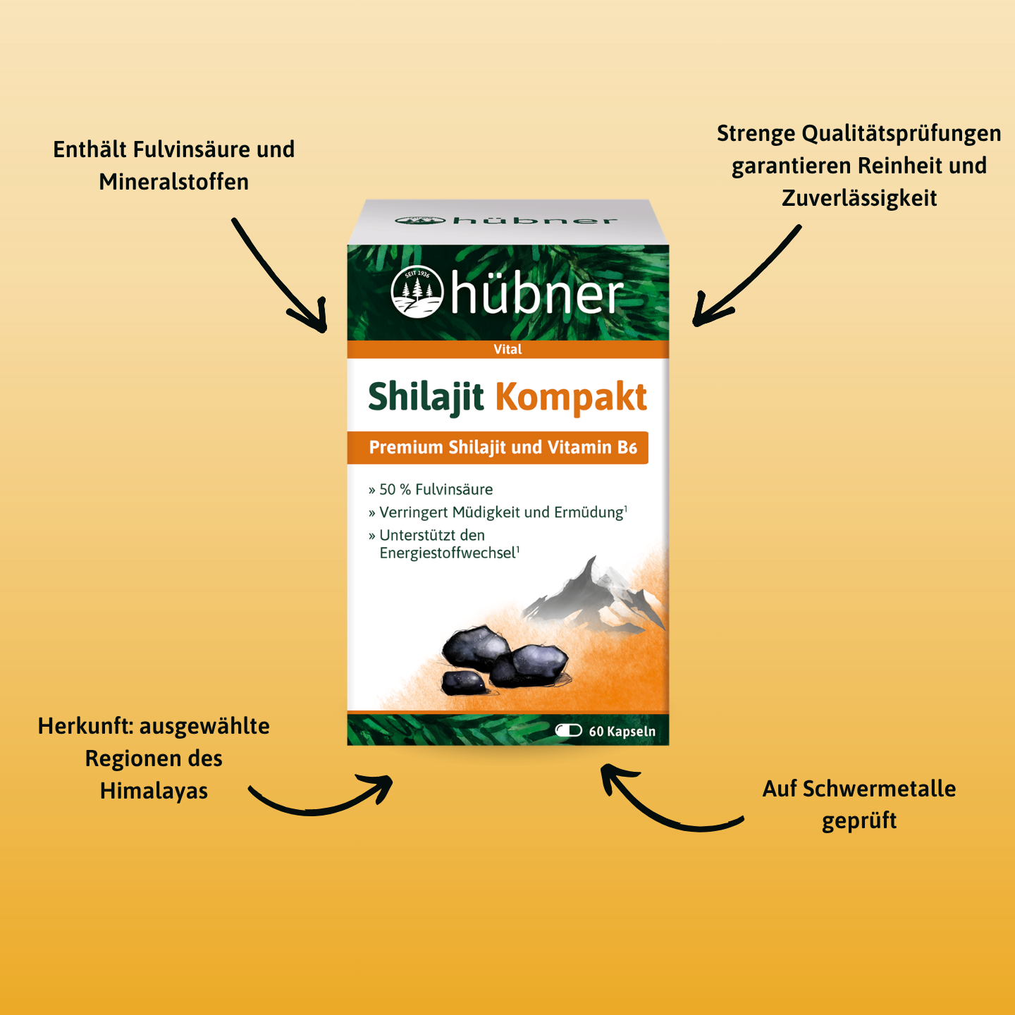 hübner® Shilajit Kompakt